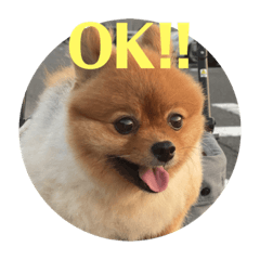 Hikari_20210731005024