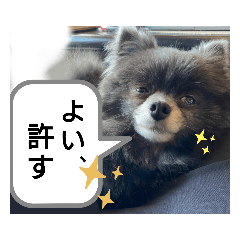 monmon_20210731145925