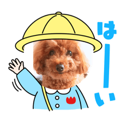 rina_20210731094139