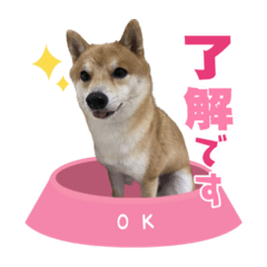 KAORI_20210731115518