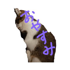 Amie stickers
