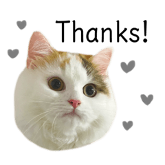 orange_20210731164226