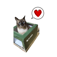 Daily stamp of Siamese cat series KEN 3