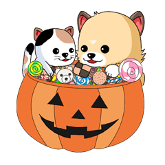 Puchako&Pucchama The Halloween Volume.