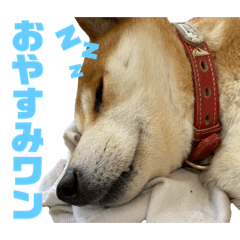 Risa_20210731173116
