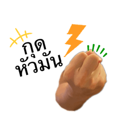 Ann_20210731014935