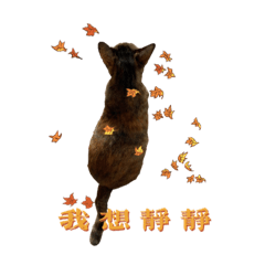 愛心的生活