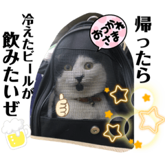 yayoi_20210731121959