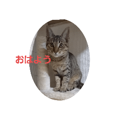 karimama_20210731211913