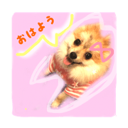 dog pome