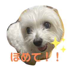 aoi_20210801015019