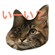 Hello! I'm OKAKA.6