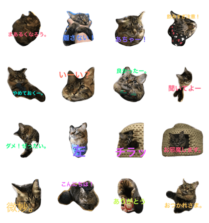 Hello! I'm OKAKA.6