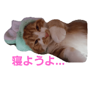 Barbiecat