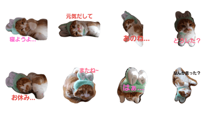 Barbiecat