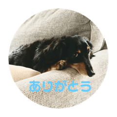 mizuki_20210731193725