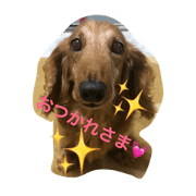 Hello! JAJAMARU!!
