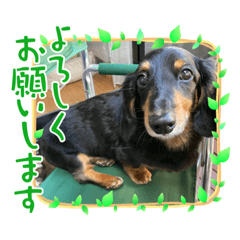 mizuki_20210731190142