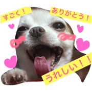 chiwawa no tsuna