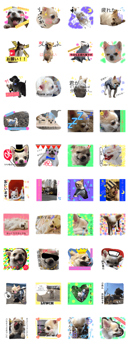 chiwawa no tsuna