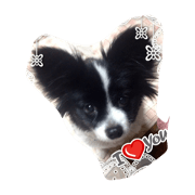 halulove