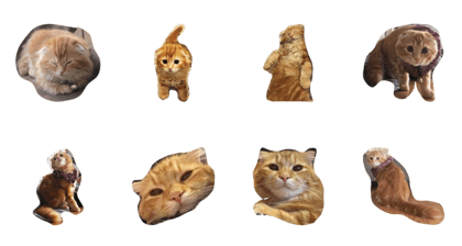 kodachan