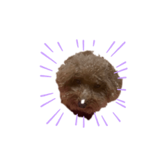 寶貝嘟嘟生活