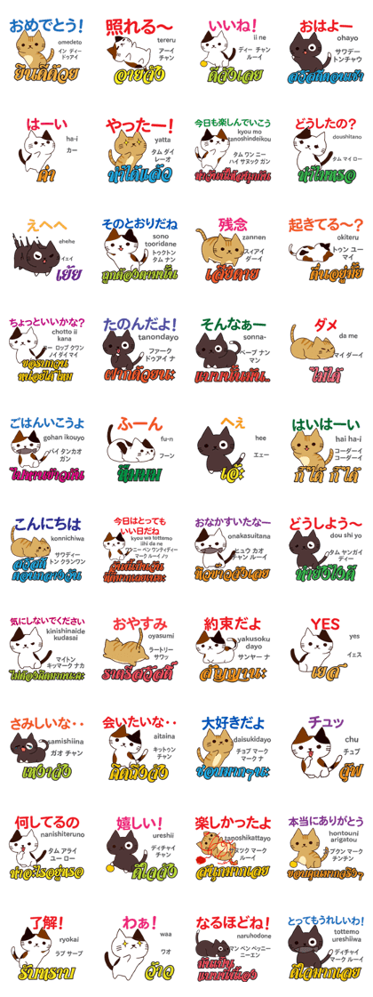 Cat Daily Conversation Thai&Japanese