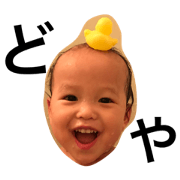 kotaaaaa