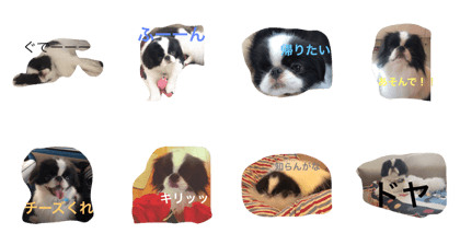 Peco's life
