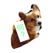 shoji mary