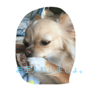 dogendbird