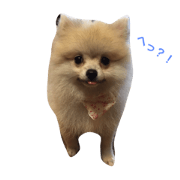 name is qoo