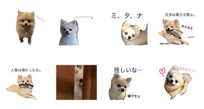 name is qoo