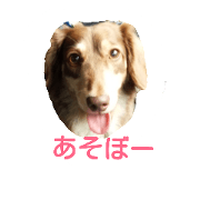 mynameislucky2