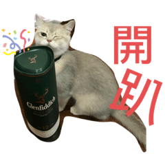 歐弟的開趴日常