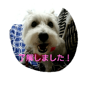 wanwanparadise2