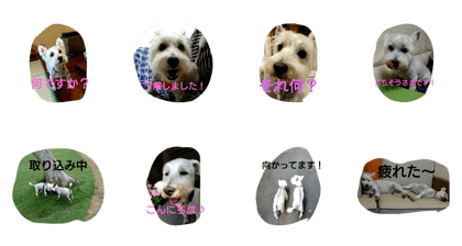 wanwanparadise2