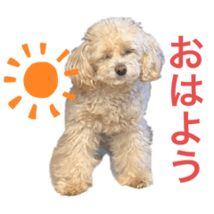 ayumi_20210731220310