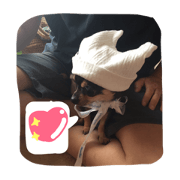 Toypoodle and chihuahua2