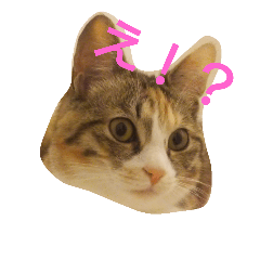 momomom
