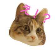 momomom