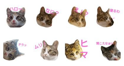 momomom