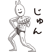 (Jun) Muscle Rabbit