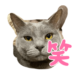 Miko_20210731225747