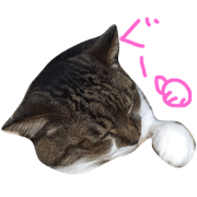 MyLovelyCat Looh