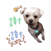 hu hu .