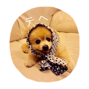 Angel Qoo Part2