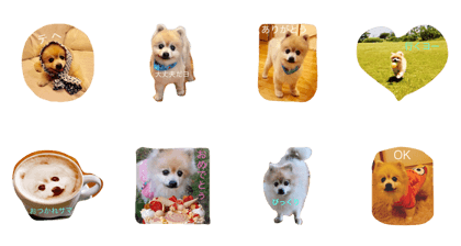 Angel Qoo Part2