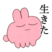Rabbits with someone you love 2